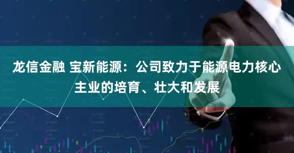 龙信金融 宝新能源：公司致力于能源电力核心主业的培育、壮大和发展