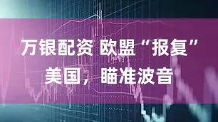 万银配资 欧盟“报复”美国，瞄准波音